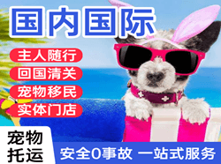 音布鲁克航空货运国际宠物托运 【国