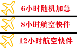 音布鲁克航空货运快递公司,专业空运当天件